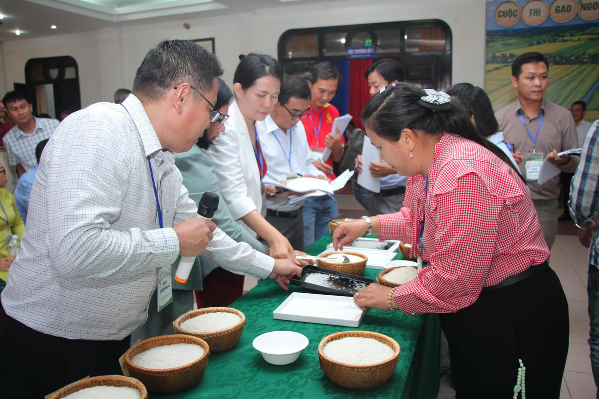 Ban tổ chức cuộc thi đã nhận 28 mẫu gạo của 28 đơn vị đăng ký tham gia, riêng tỉnh Cà Mau có 13 đơn vị góp mặt, trong đó có 10 hợp tác xã và 3 doanh nghiệp. 