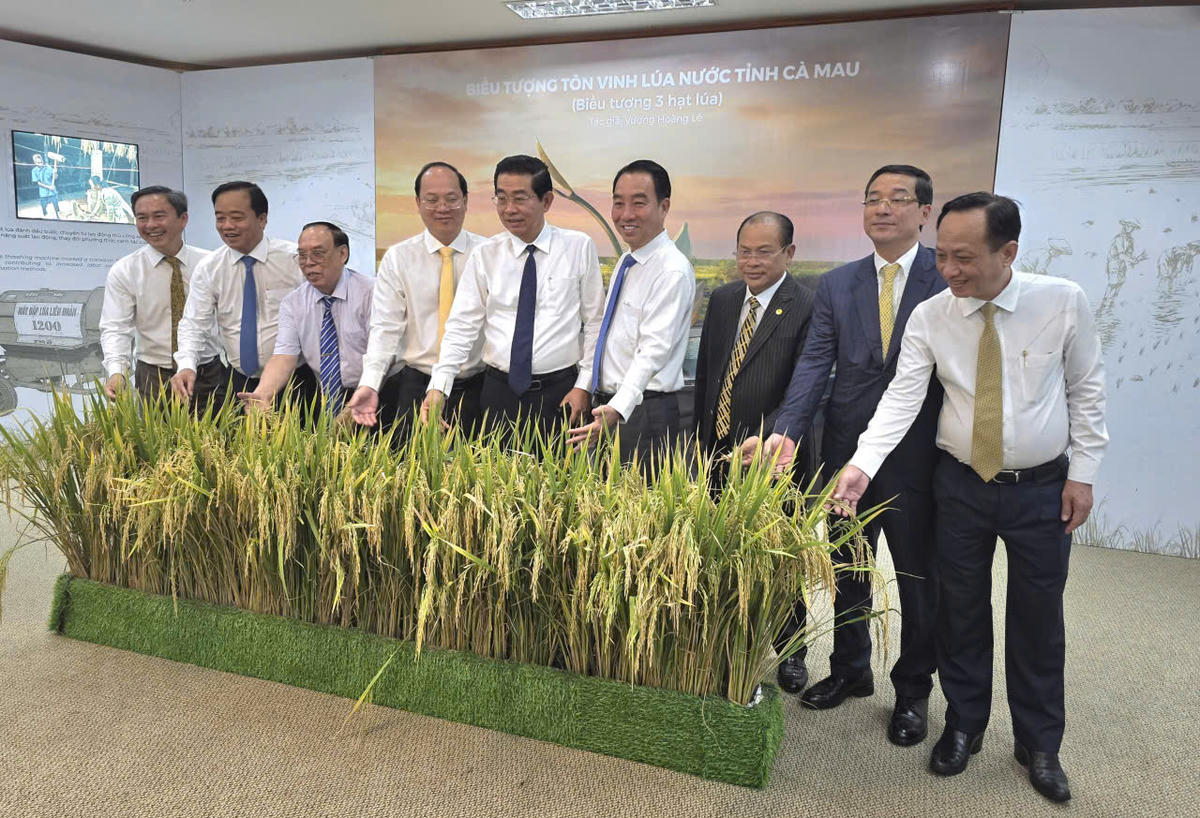 Việc thành lập Bảo tàng Lúa nước tỉnh Cà Mau là một dấu mốc quan trọng, thể hiện quyết tâm của tỉnh Cà Mau trong việc bảo tồn và phát huy giá trị di sản văn hóa nông nghiệp – một di sản nền tảng của dân tộc. Ảnh: Nguyên Du.
