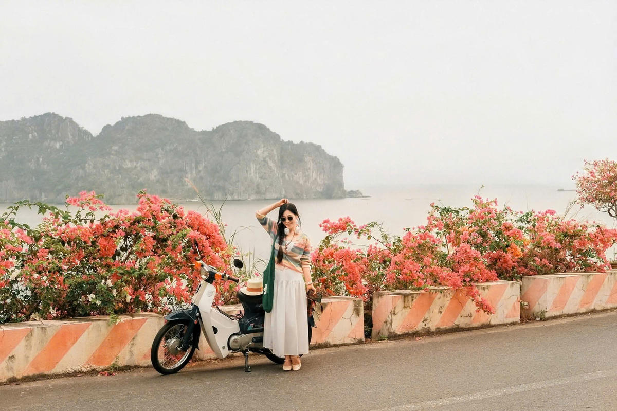 Du khách thích thú check-in con đường hoa giấy ven biển Cát Bà. Ảnh: CH.&nbsp;