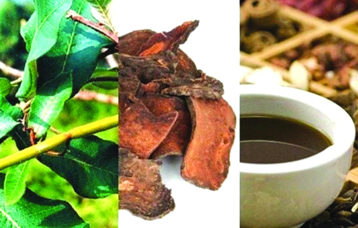 Hà thủ ô vẫn có tác hại nếu dùng sai cách