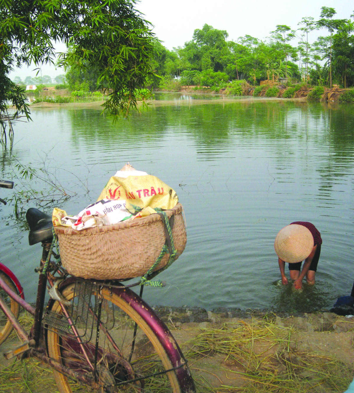 Bên cầu ao làng Việt.