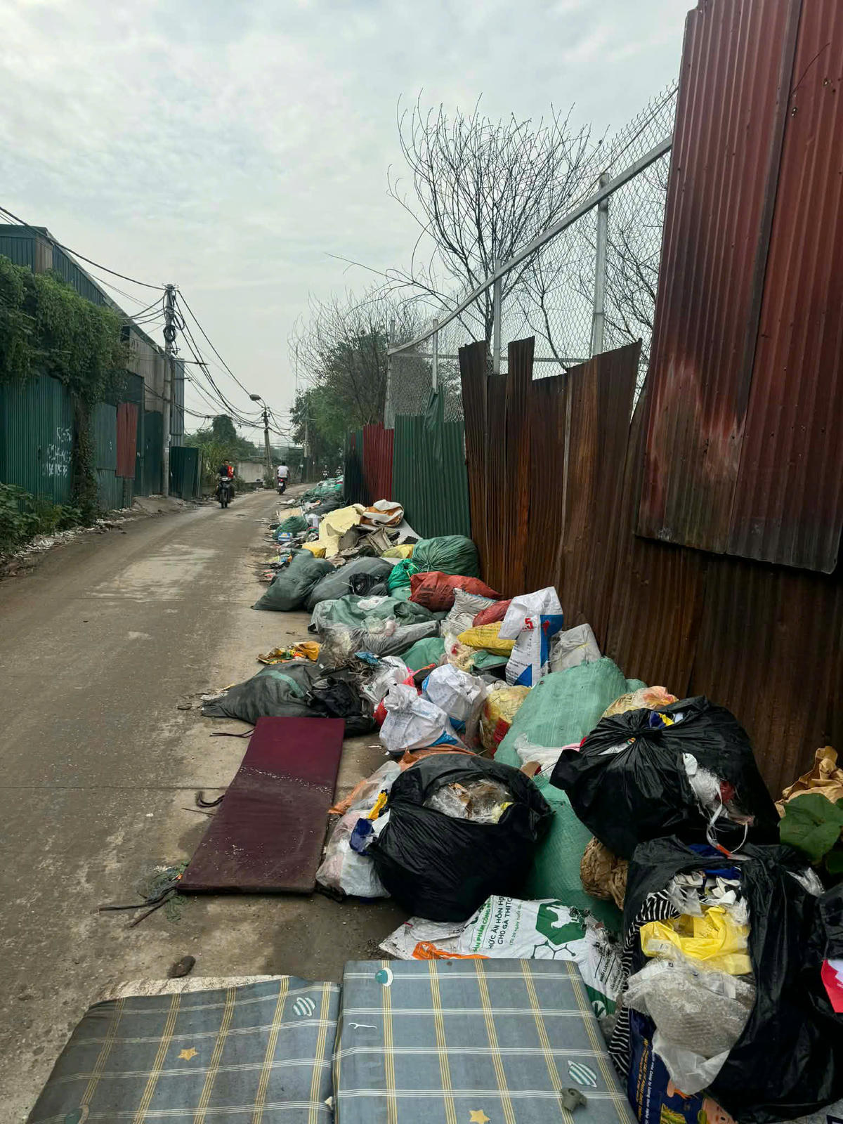 Đủ các loại rác thải đang bị đổ trộm trên đoạn đường này.