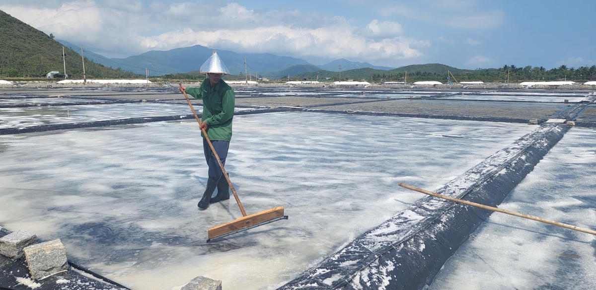Khánh Hòa: Hướng đi mới của diêm dân Hòn Khói