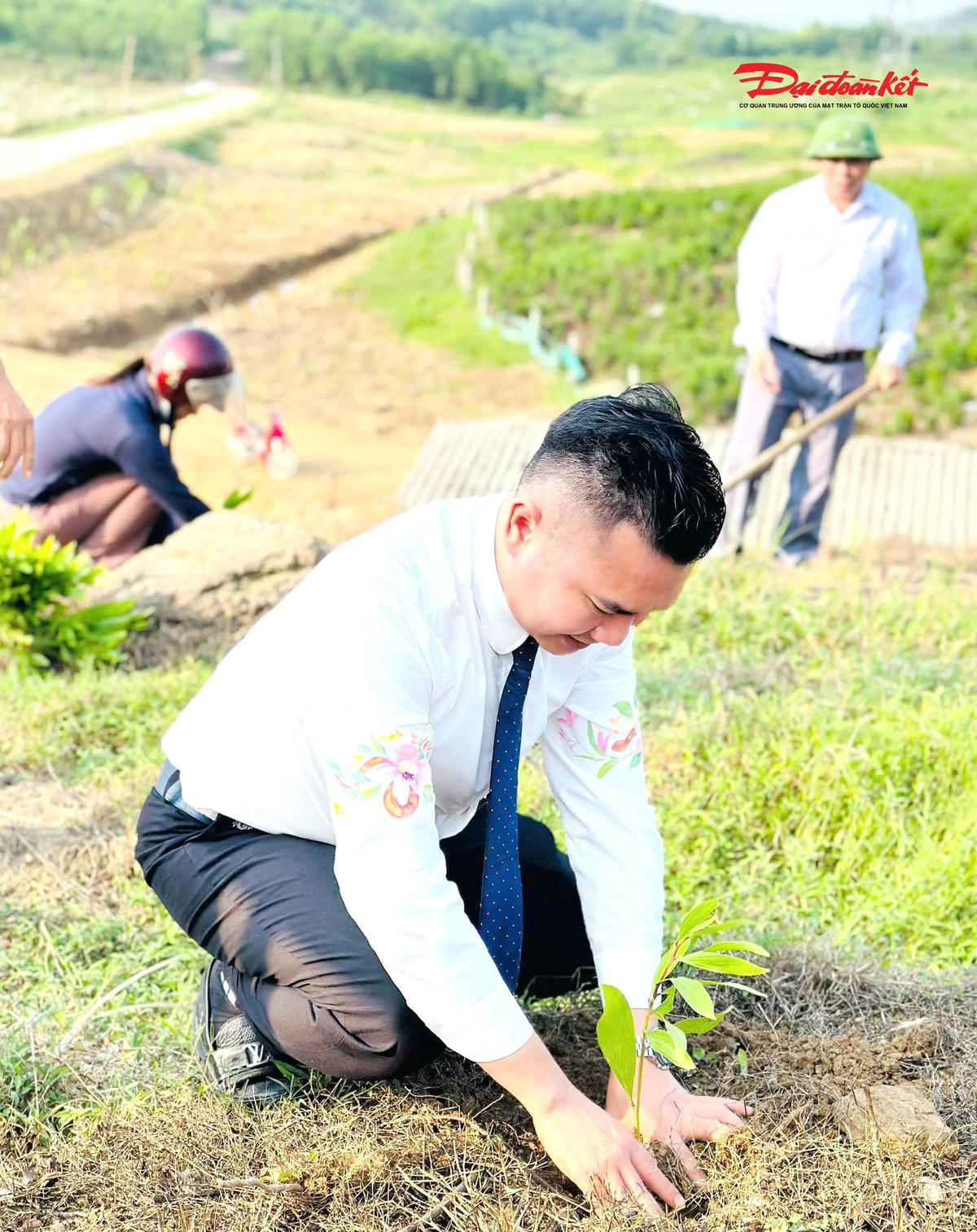Ông Hoàng Nguyễn Trọng Dũng - Tổng Giám đốc Hoàng Gia Phát Group trồng cây keo tại thôn Kim Sơn. Ảnh: Mr D