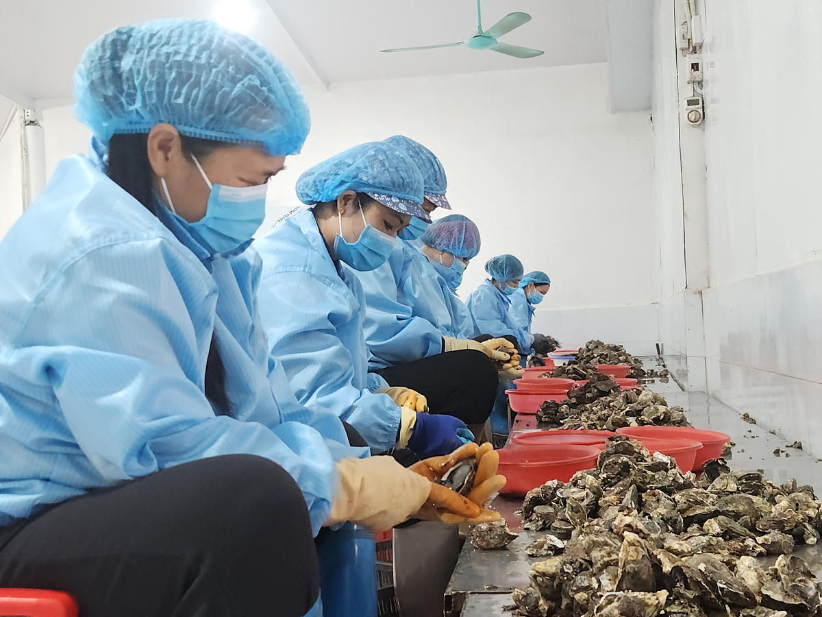 Xây dựng nhà xưởng đạt chuẩn là điều kiện để ký kết các hợp đồng xuất khẩu quốc tế.