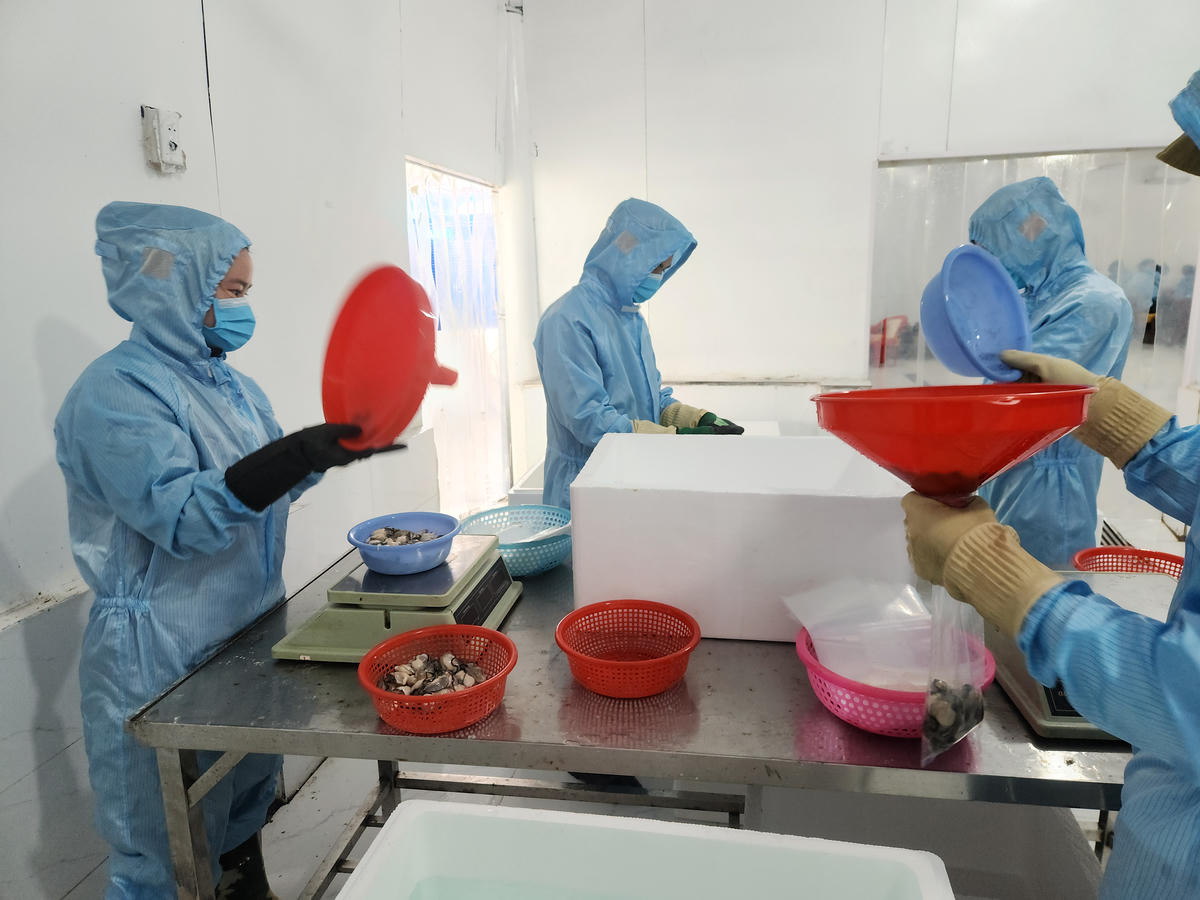 Đầu tư lớn về hạ tầng, nhà xưởng, kỹ thuật sẽ mang lại các hợp đồng lớn ra thị trường Nhật, Mỹ, Đài Loan, và EU.