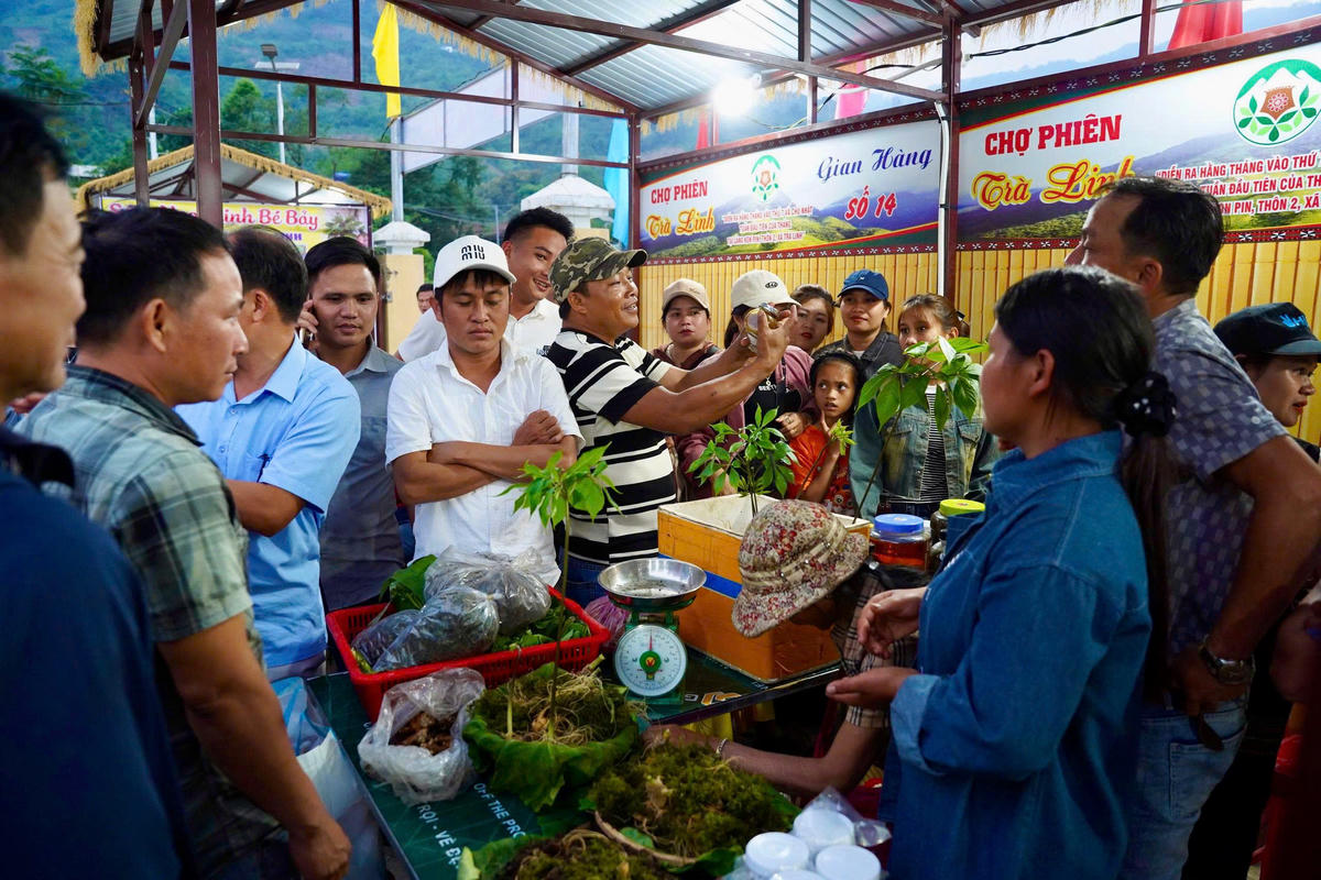 Một góc gian hàng bán sản phẩm sâm Ngọc Linh tại phiên chợ. Ảnh Tân Tân.