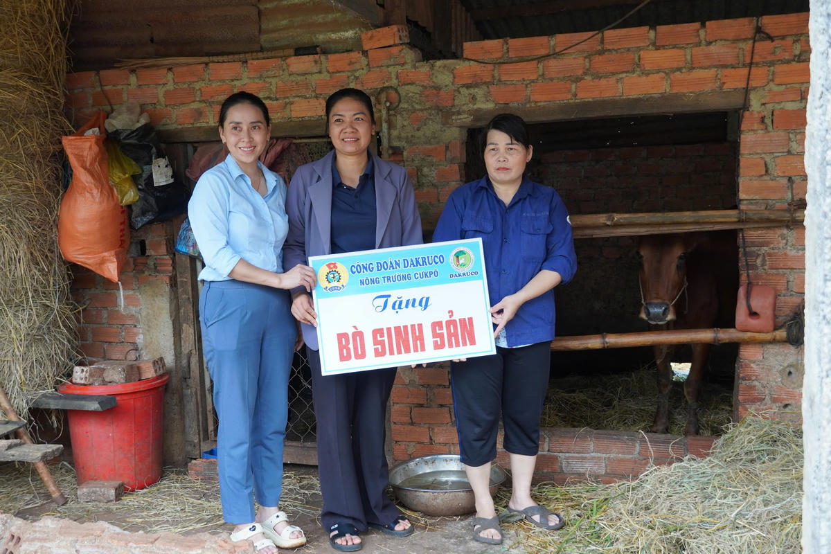 Đại diện Nông trường Cư Kpô trao bò sinh sản cho công nhân.