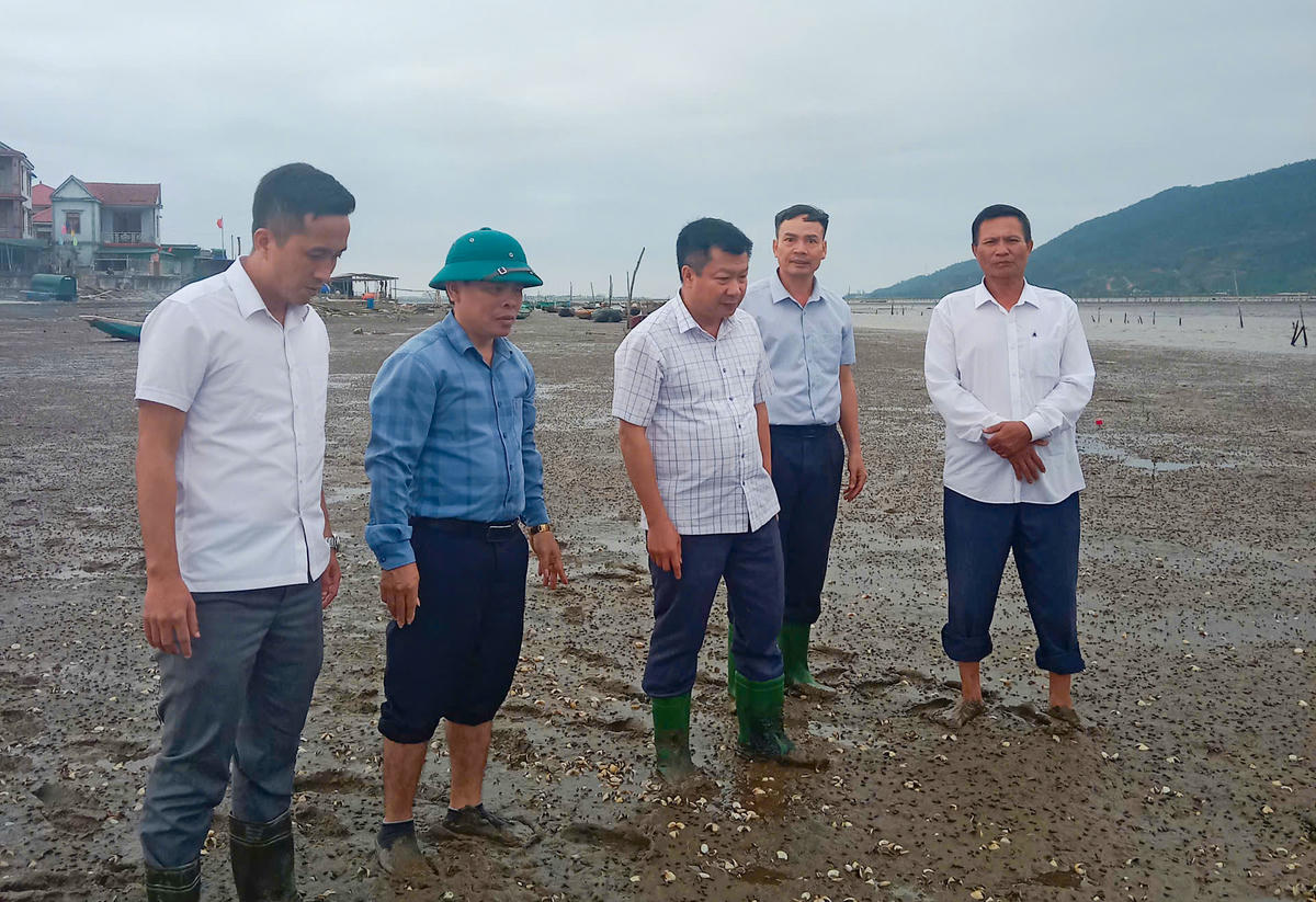UBND xã Mai Phụ đề nghị cơ quan chuyên môn tiếp tục đánh giá để đưa ra khuyến cáo cụ thể.