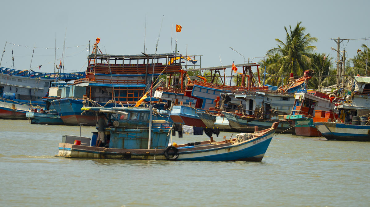 Những con tàu đánh bắt hải sản bắt đầu cập bến. (Ảnh: Trí Trần).