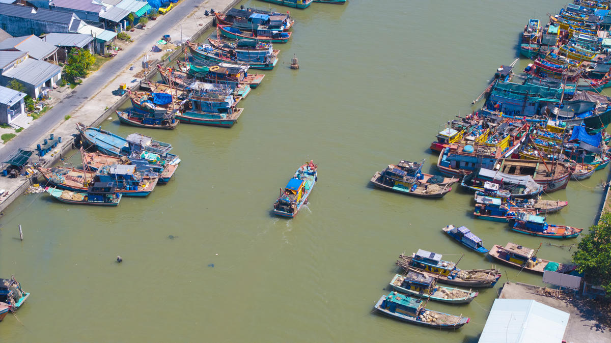 Tấp nập nơi cảng cá Đại An. (Ảnh: Trí Trần).