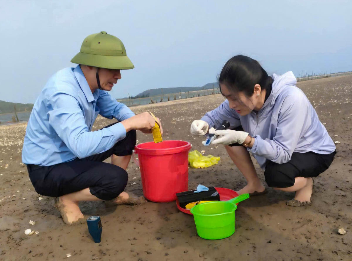 Kết quả phân tích bước đầu từ Trung tâm Nghiên cứu môi trường và bệnh thủy sản miền Bắc cho thấy, ngao chết không liên quan đến các tác nhân gây bệnh nguy hiểm.