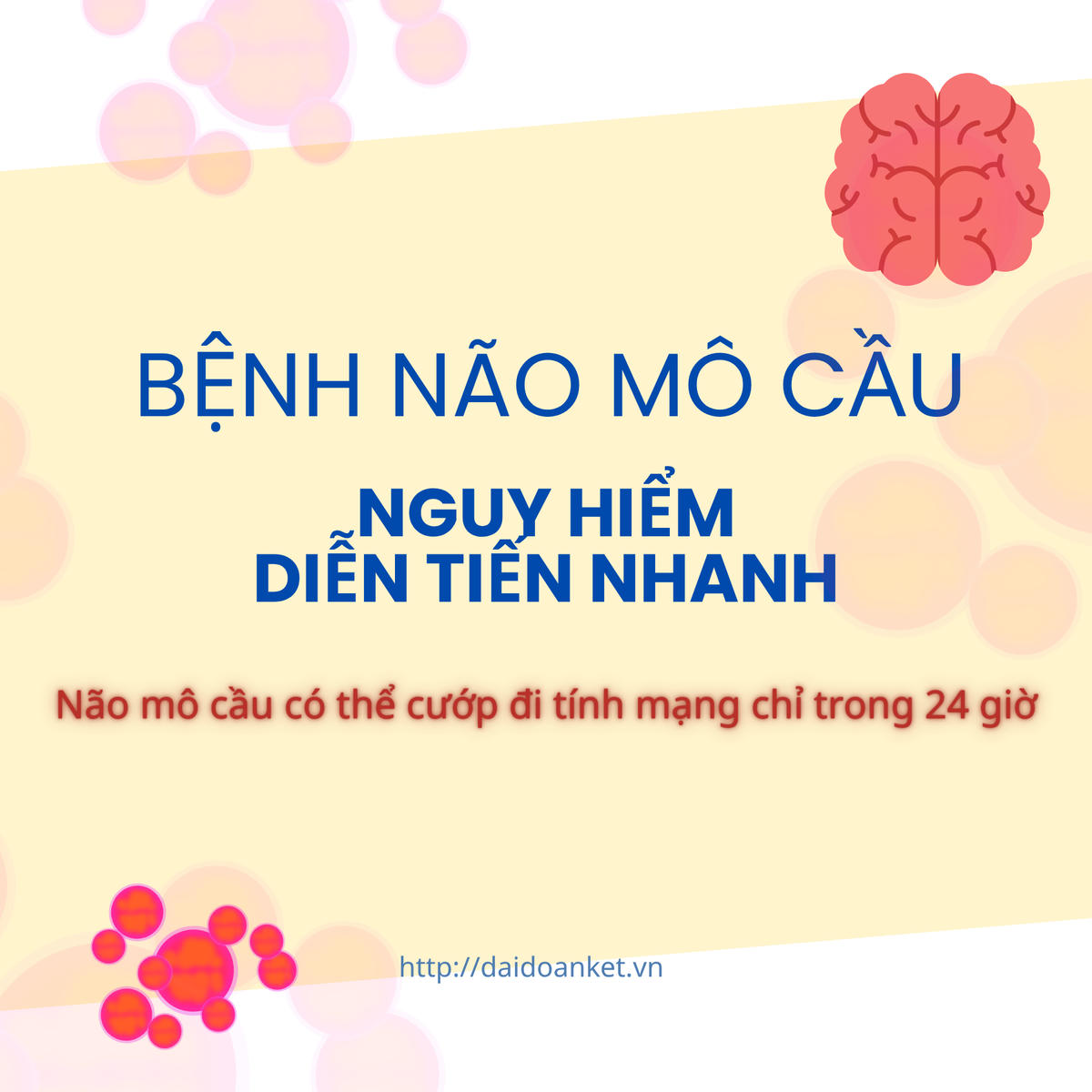 Não mô cầu: Diễn tiến nhanh, tử vong trong 24 giờ
