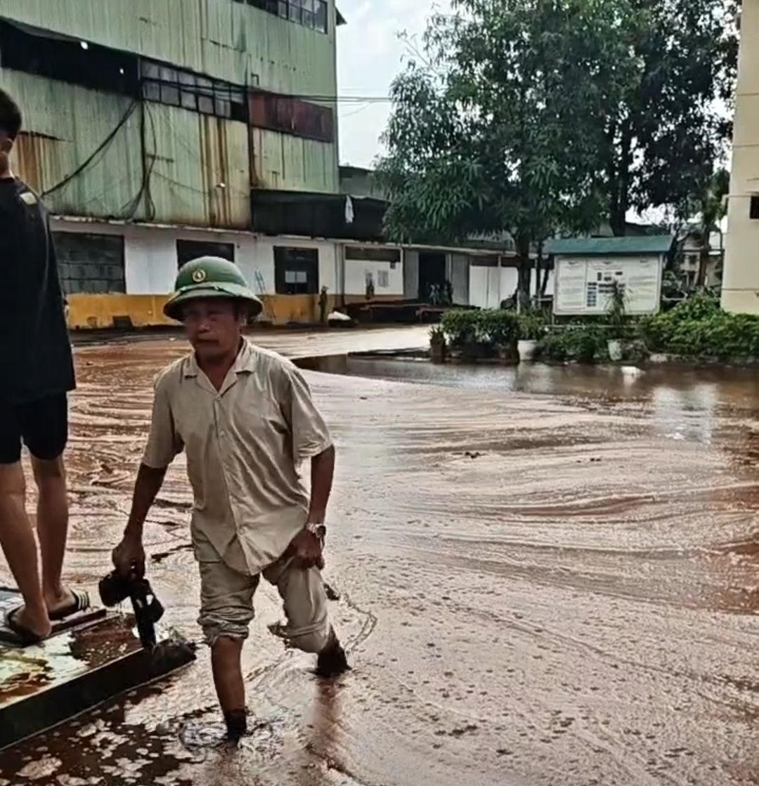 Nghệ An: Sét đánh trúng bể chứa, hàng nghìn tấn mật mía tràn ra khuôn viên