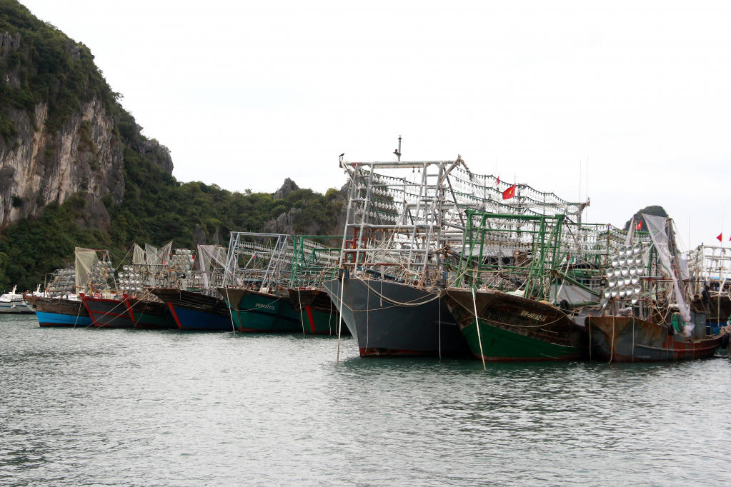 Quảng Ninh hỗ trợ mua sắm thiết bị giám sát hành trình tàu cá trên địa bàn tỉnh giai đoạn 2026-2030. Ảnh minh họa.