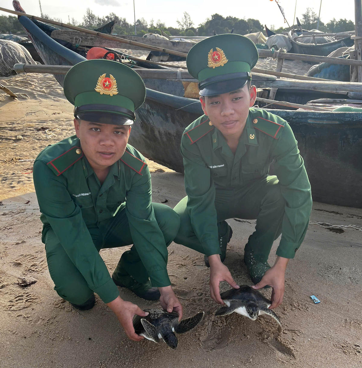 Các chiến sĩ thả hai cá thể rùa biển về môi trường tự nhiên. Ảnh: Lương Kiểm.