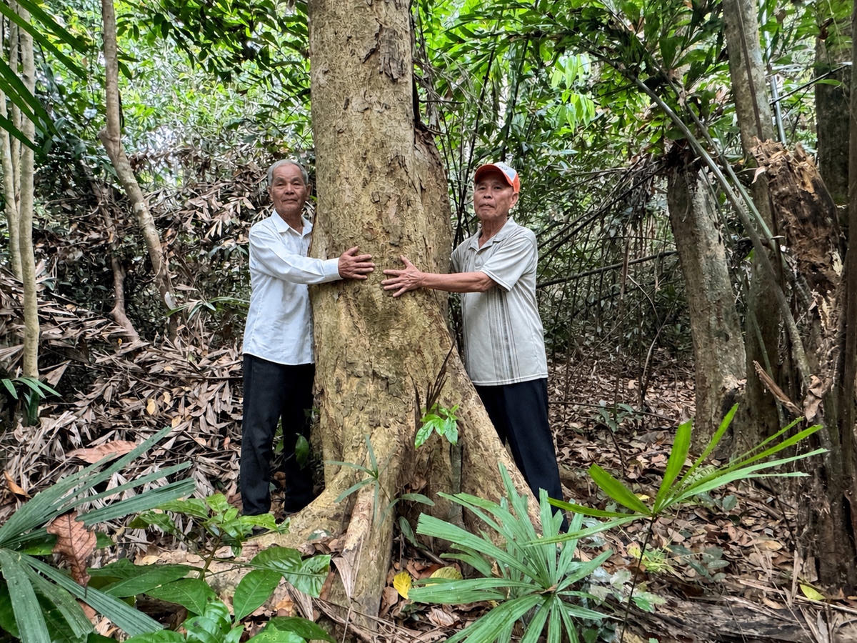 Người dân làng Nghi Sơn ôm cây cổ thụ ở rừng Cấm Miếu. Ảnh: Nguyễn Tín.