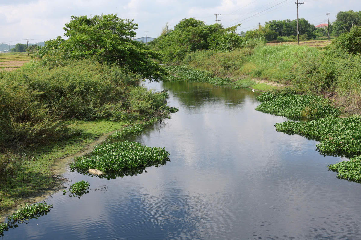 Dòng kênh&nbsp;Chìm Sơn Tịnh đen thui. Ảnh: Chí Đại.
