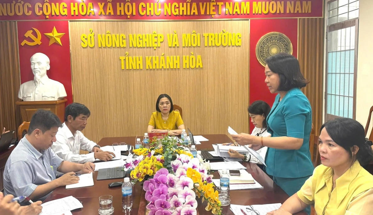 Quang cảnh buổi giám sát.
