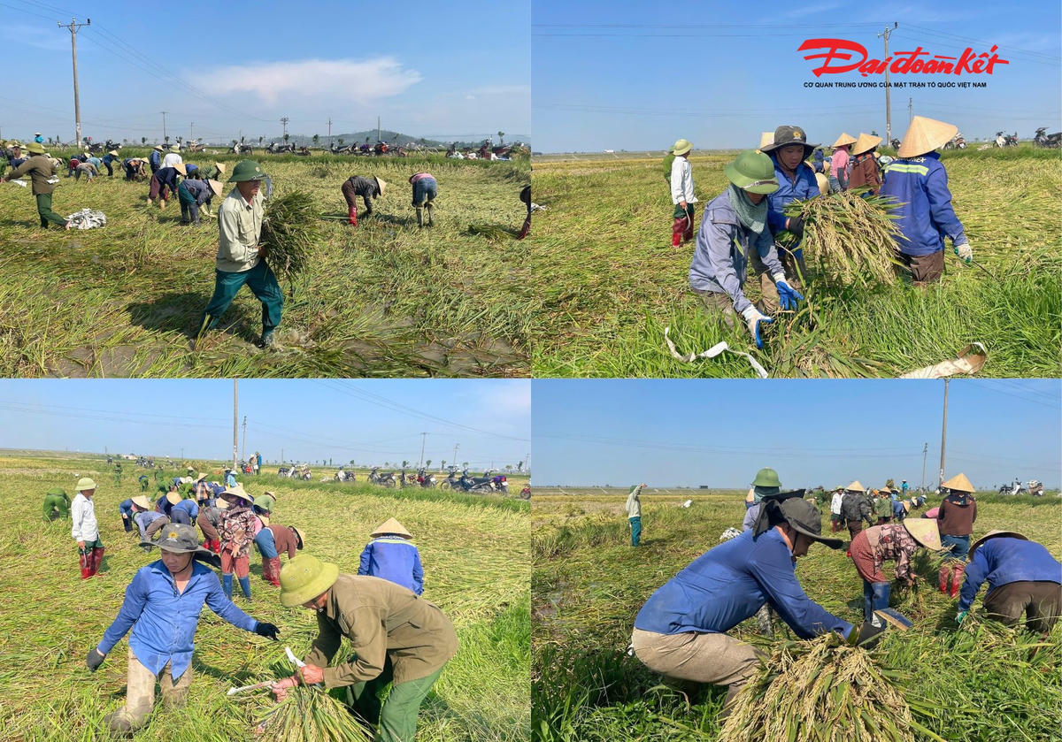 Tinh thần tương thân tương ái được phát huy mạnh mẽ ở vùng đất khó Hà Tĩnh. Ảnh: HN.