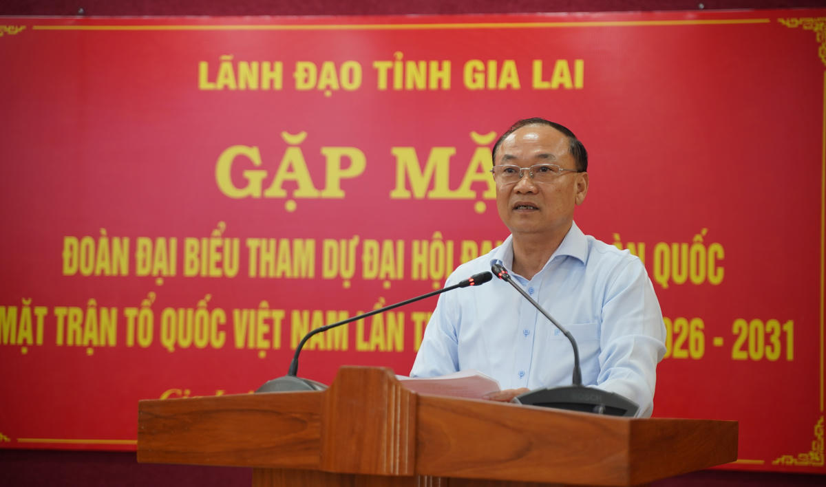 Ông Thái Đại Ngọc, Bí thư Tỉnh ủy Gia Lai phát biểu tại buổi gặp mặt. Ảnh: Đình Sang.