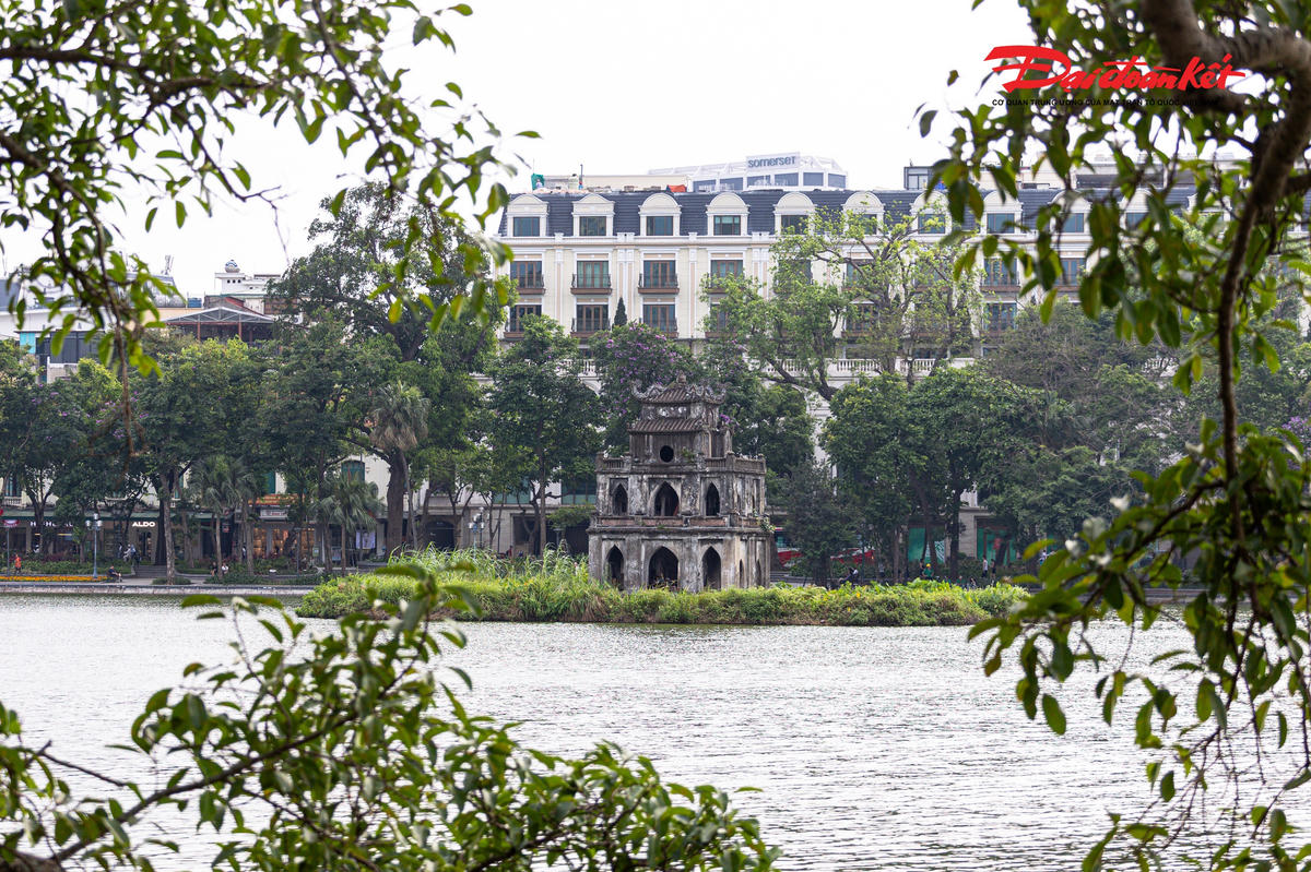 Đàn chim hoang dã xuất hiện dày đặc ở Hồ Gươm, tạo cảnh săn mồi hiếm thấy giữa trung tâm Hà Nội