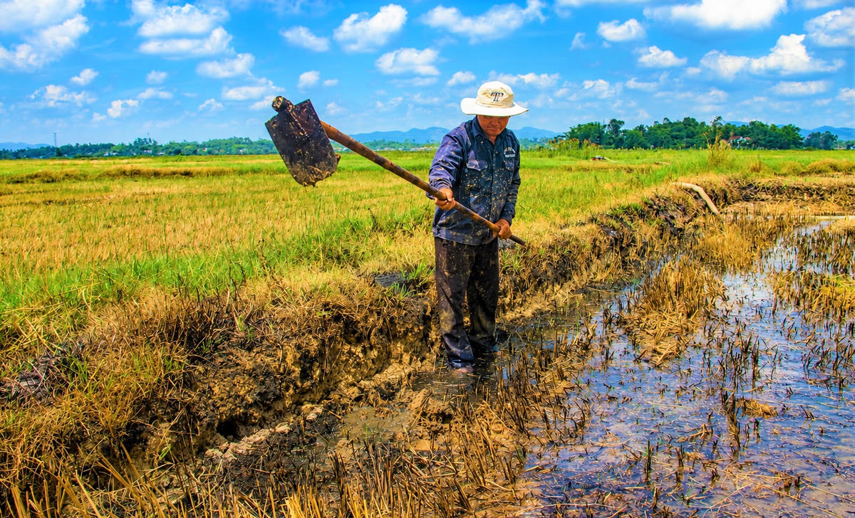 Nông dân xã Thăng Điền đang dọn bờ ruộng chuẩn bị gieo sạ vụ hè thu. Ảnh: Tấn Thành.
