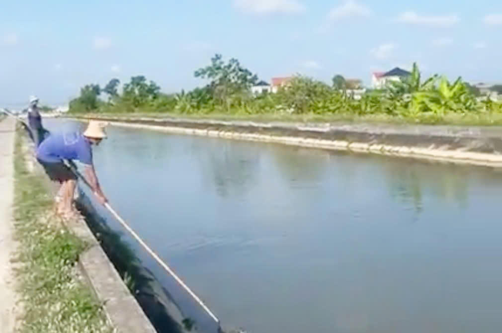 Người dân vớt cá chết nổi trên kênh. Ảnh: T.D