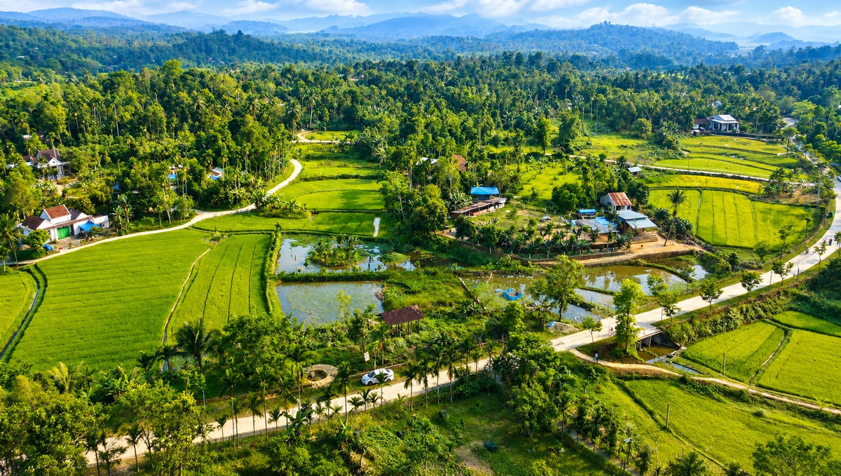 Xã Thạnh Bình đang hướng tới mục tiêu phát triển bền vững. Ảnh: Tấn Thành.