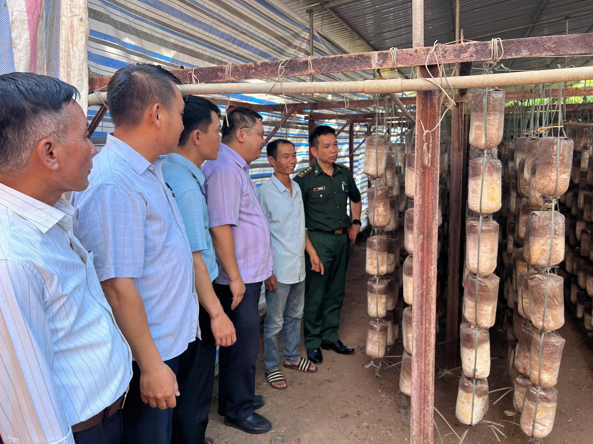 Cán bộ Đồn Biên phòng Cửa khẩu Đắk Ruê tham quan mô hình trồng nấm Sò, nấm Bào Ngư của gia đình anh Lê Văn Nam tại thôn 5, xã Ea Bung. Ảnh: Thùy Dung.