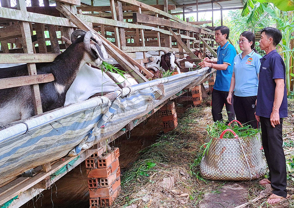 Cán bộ Mặt trận các đoàn thể tỉnh Vĩnh Long vận động, hướng dẫn đoàn viên, hội viên và người dân đoàn kết giúp nhau phát triển kinh tế.&nbsp;Ảnh: Tuyết Nga.