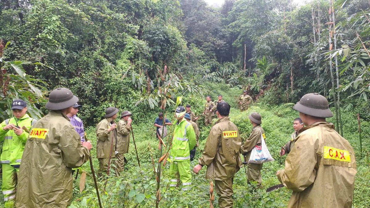 Tuyên Quang: Hơn 300 người tìm kiếm người đàn ông đi rừng mất tích
