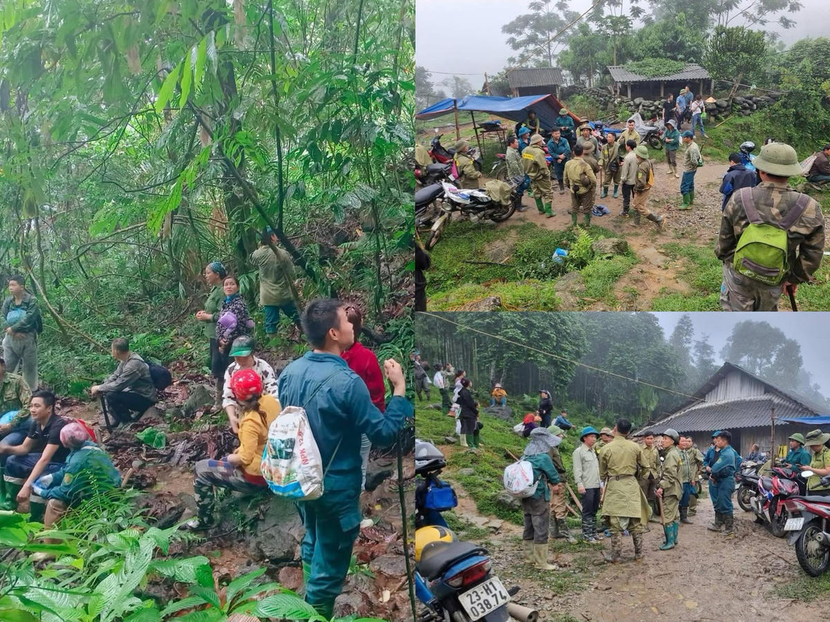 Tuyên Quang: Đã tìm thấy cụ ông sau 4 ngày ‘mất tích’ trong rừng sâu