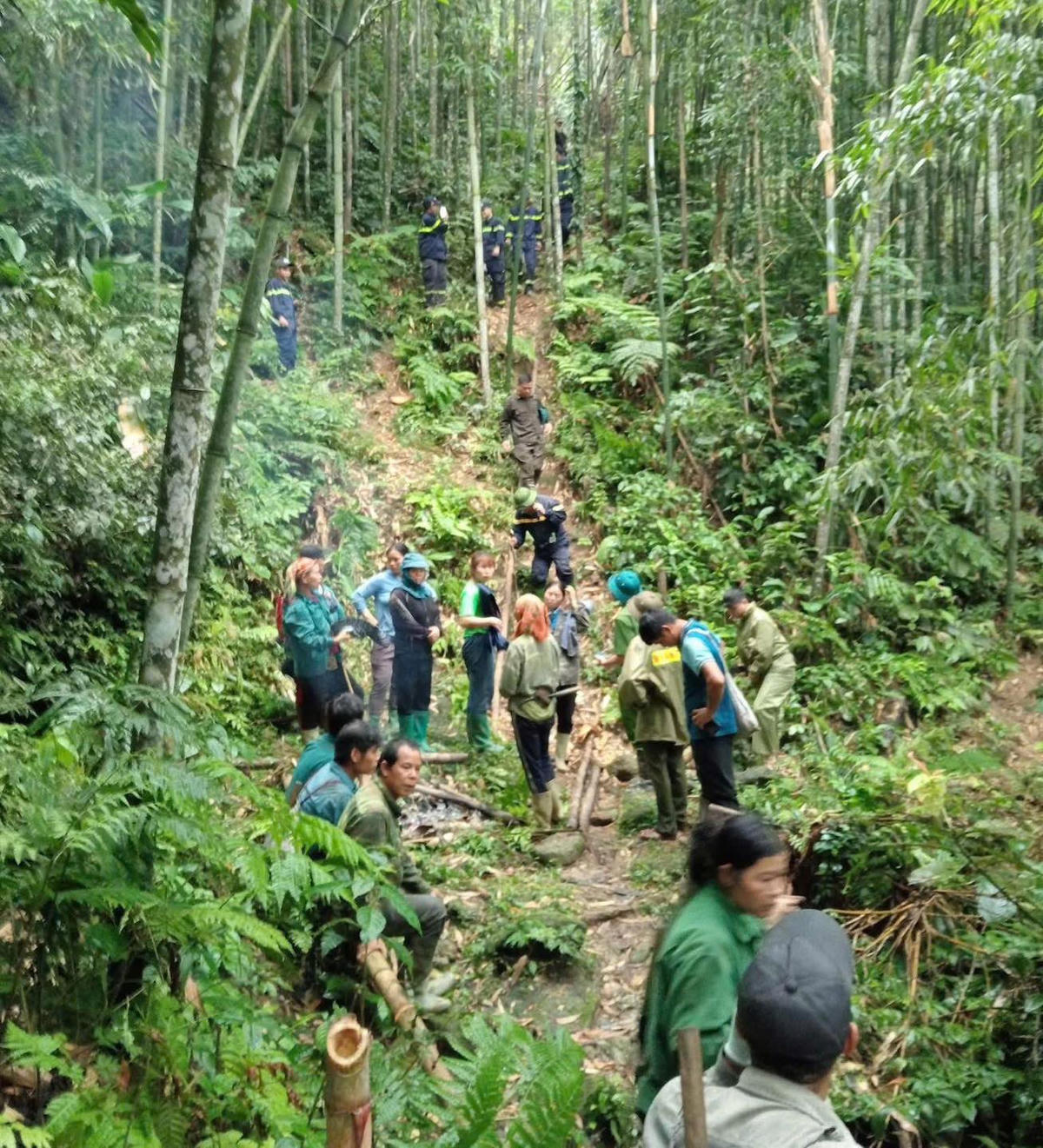 Tuyên Quang: Hơn 300 người tìm kiếm người đàn ông đi rừng mất tích