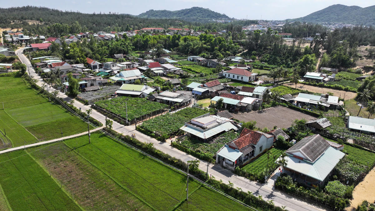 Một góc làng Chánh Trạch nơi trồng bí đao "khổng lồ". Ảnh: TL.