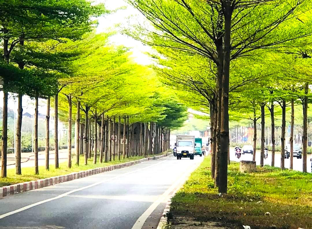 Luật Thủ đô giúp Hà Nội được chuyển từ vai trò thực thi chính sách sang chủ động thiết kế chính sách.