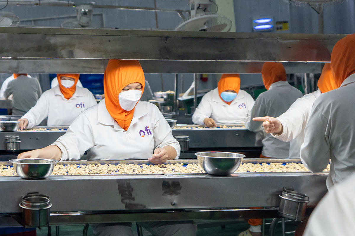 Công nhân làm việc tại nhà máy hạt điều Đắk Lắk của ofi Việt Nam.