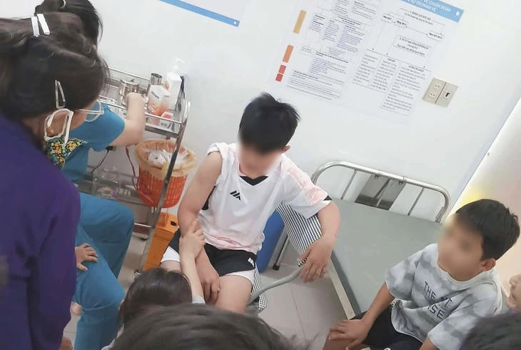 Nghệ An: Chó dương tính vi rút dại sau khi cắn nhiều người 
