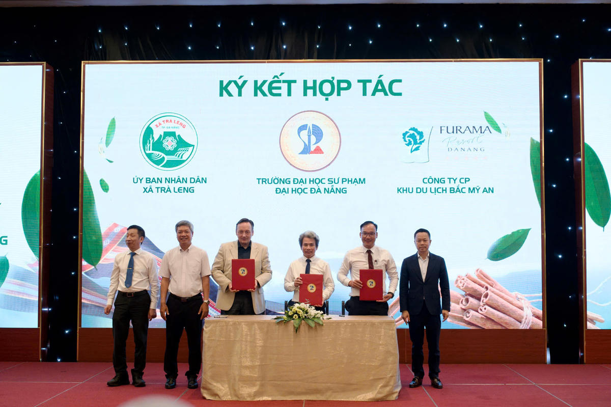 Đà Nẵng: “3 nhà” giúp nâng cao giá trị quế Trà My