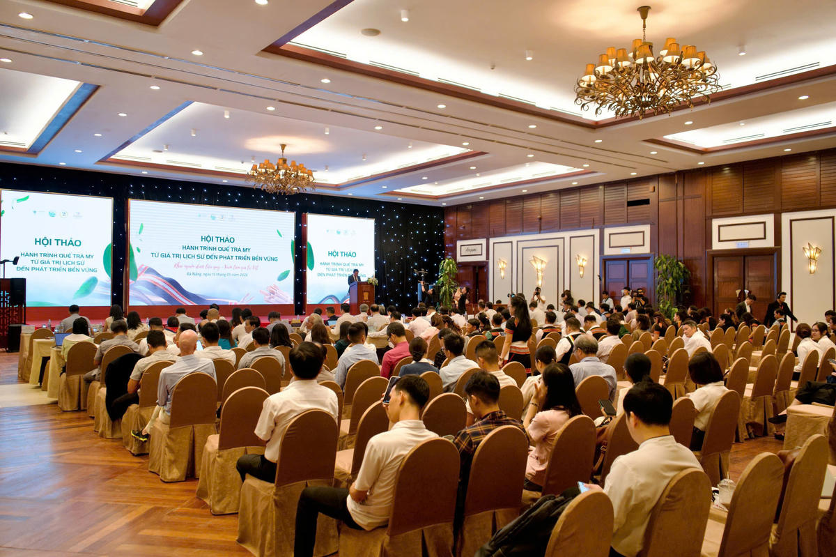 Đà Nẵng: “3 nhà” giúp nâng cao giá trị quế Trà My