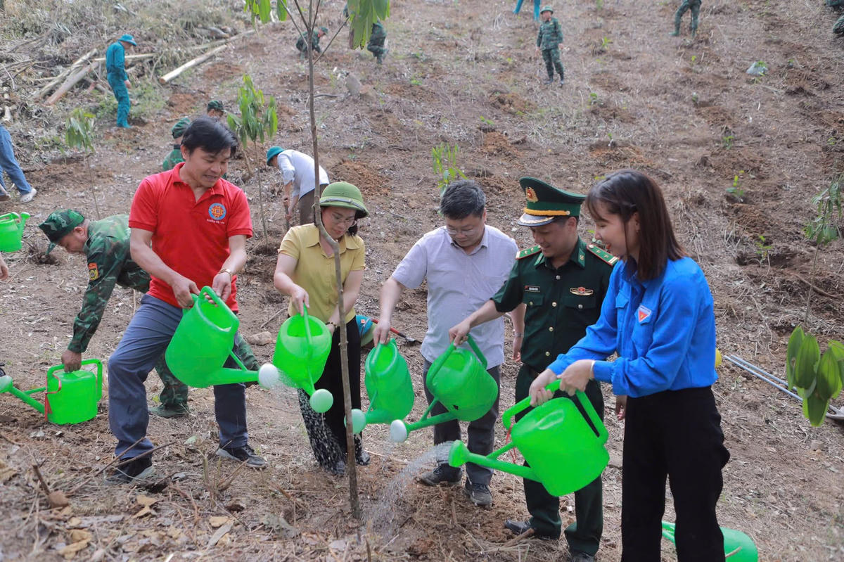 Từ hoạt động góp phần phủ xanh đất trống, đồi trọc.