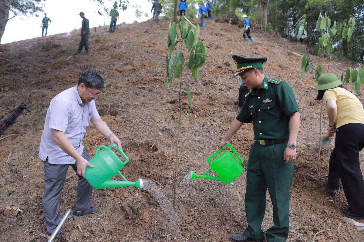 Hướng tới mô hình "vườn kiểu mẫu cây quế" góp phần phát triển kinh tế địa phương trong tương lai.