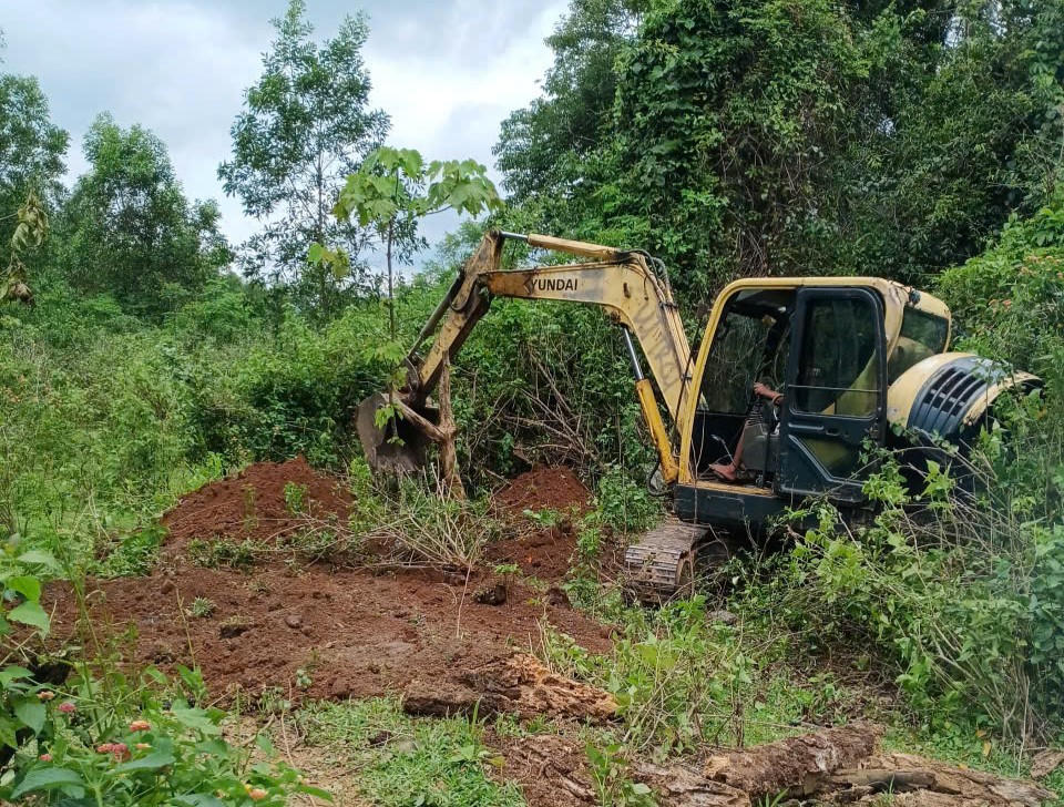 Chính quyền địa phương và lực lượng chức năng tiến hành tiêu hủy số bò bị sét đánh chết. Ảnh: UB.