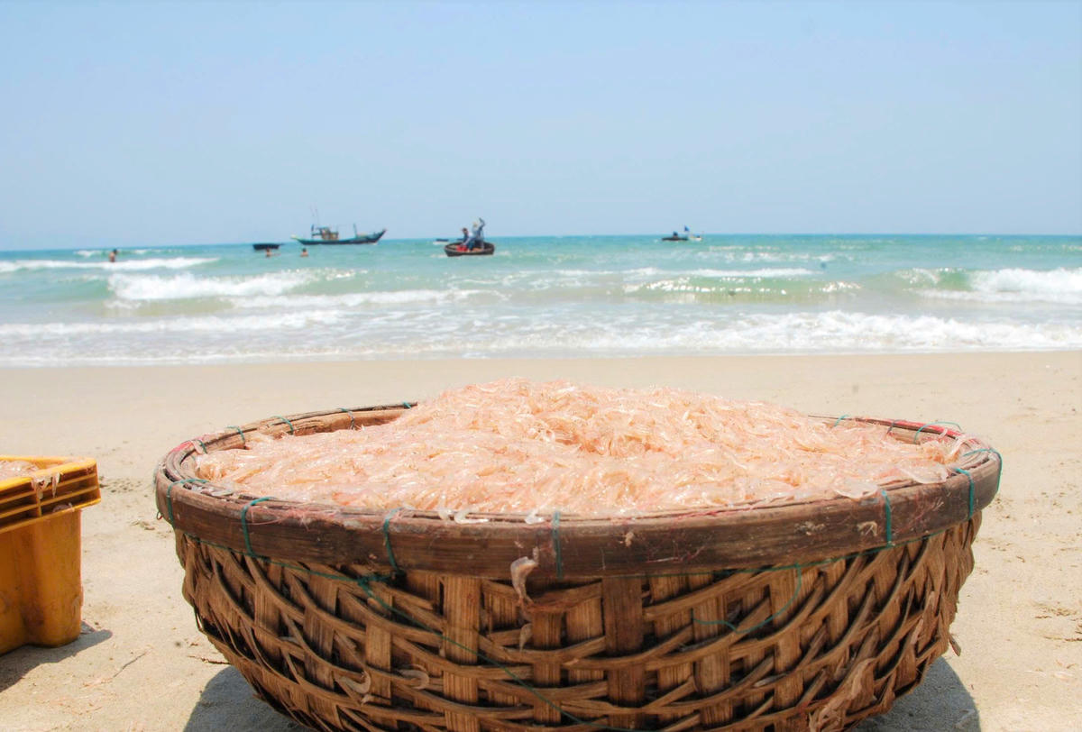 Những thúng ruốc tươi rói tại bờ biển xã Duy Nghĩa. Ảnh: CĐ.