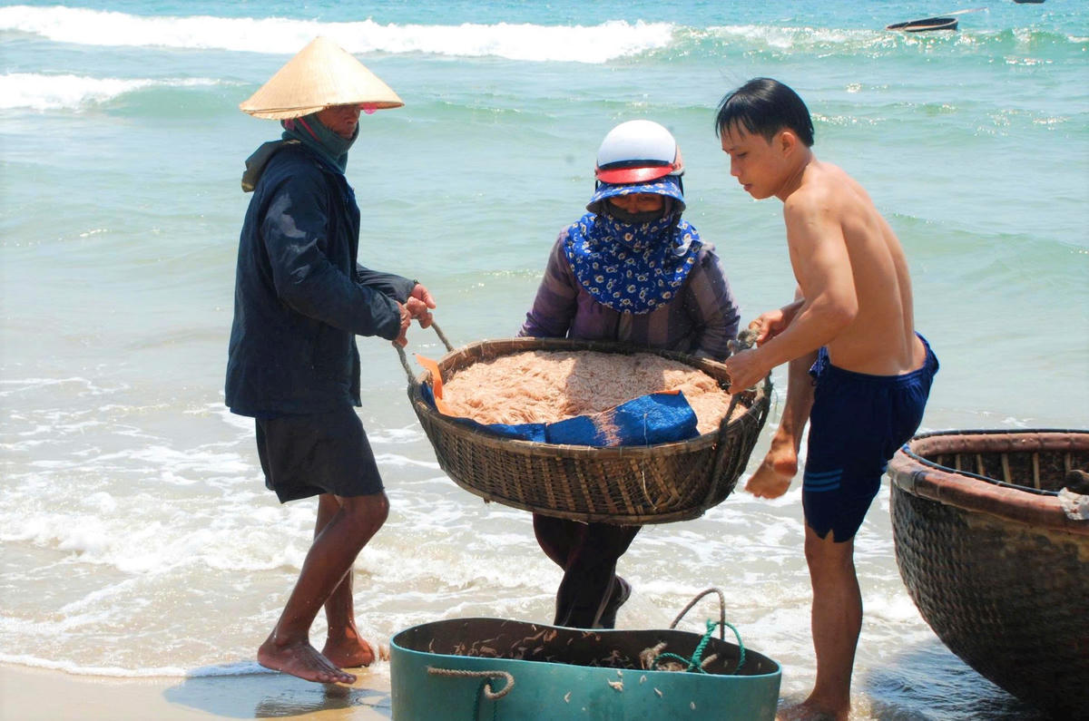 Ngư dân xã Duy Nghĩa đưa ruốc vào bờ bán cho thương lái. Ảnh: TT.