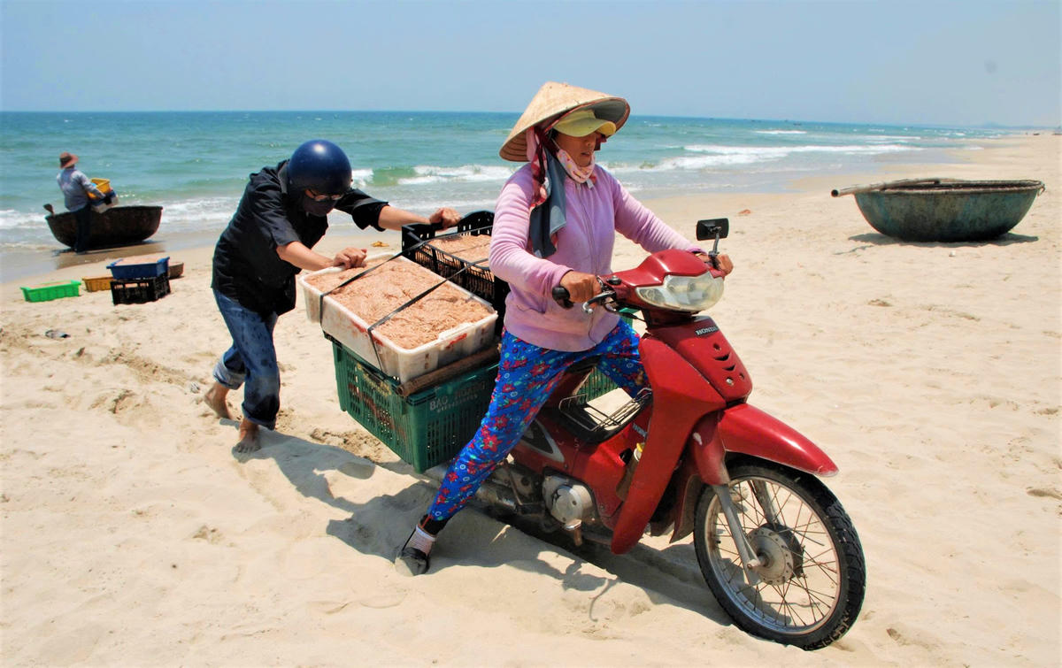 Thương lái vận chuyển ruốc đi tiêu thụ. Ảnh: CĐ.