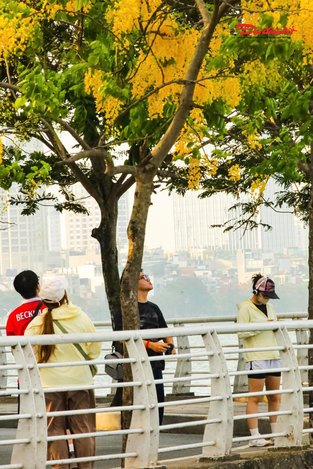 Hà Nội đẹp nao lòng vào mùa hoa tháng Năm