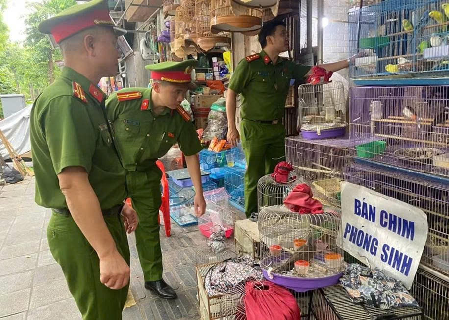 Công an phường Hai Bà Trưng phối hợp Hạt Kiểm lâm số 2 và Phòng Cảnh sát kinh tế - Công an TP Hà Nội kiểm tra 3 cơ sở kinh doanh chim cảnh trên phố Tăng Bạt Hổ, Hà Nội.