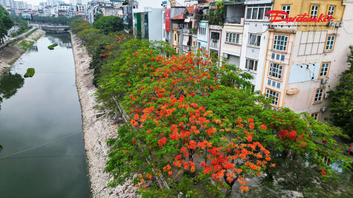 Hà Nội đẹp nao lòng vào mùa hoa tháng Năm