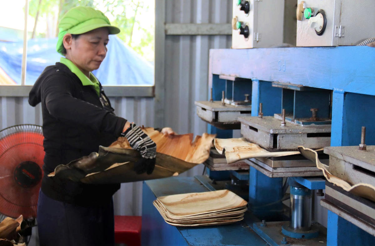 Công nhân sản xuất sản phẩm từ mo cau. Ảnh: TT.
